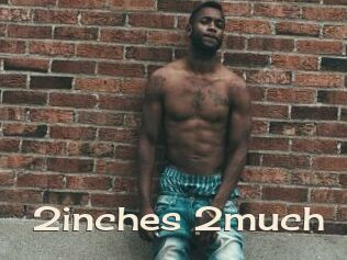 2inches_2much