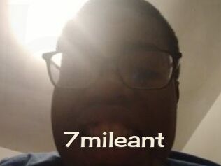 7mileant