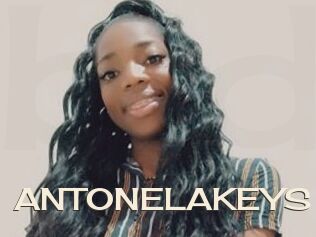 ANTONELAKEYS