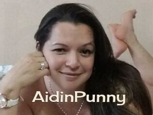 AidinPunny