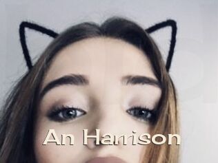 An_Harrison