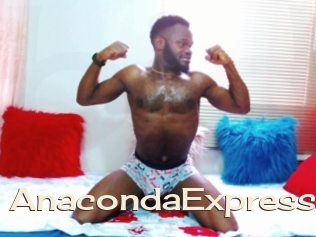 AnacondaExpress