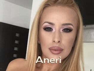 Aneri