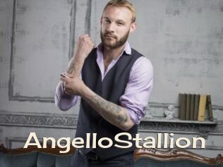 AngelloStallion