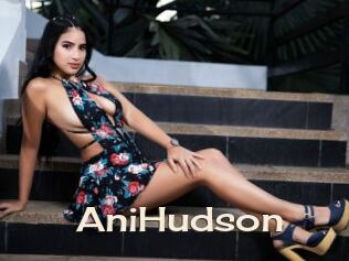 AniHudson