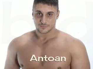 Antoan