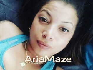 Aria_Maze