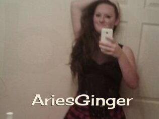 AriesGinger