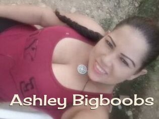 Ashley_Bigboobs