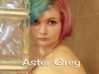 Aster_Grey