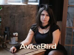 AviceBird