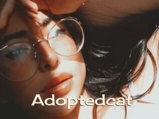 Adoptedcat
