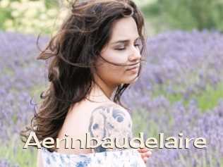 Aerinbaudelaire