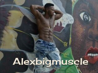 Alexbigmuscle