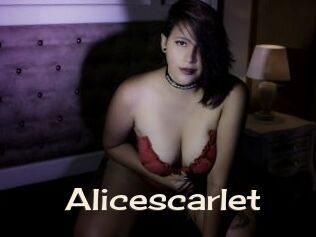 Alicescarlet