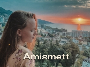 Amismett