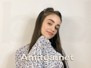 Amityarnet