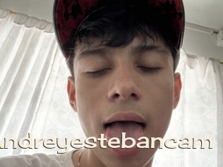Andreyestebancam