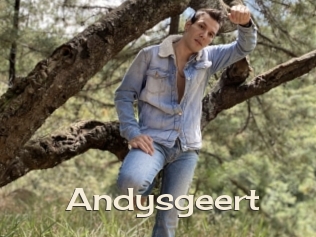 Andysgeert