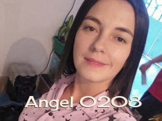 Angel_0208