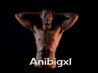 Anibigxl