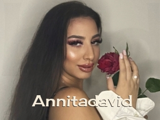 Annitadavid