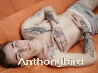 Anthonybird