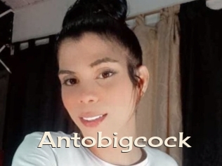 Antobigcock