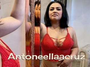 Antoneellaacruz