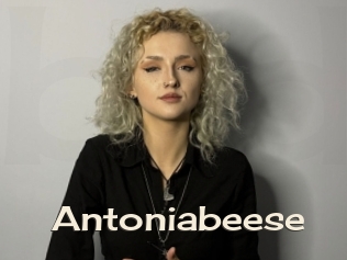 Antoniabeese