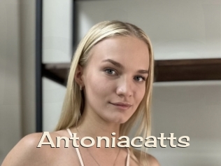 Antoniacatts