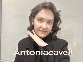 Antoniacavell