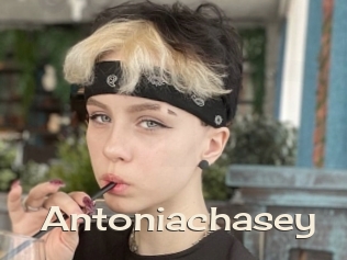 Antoniachasey