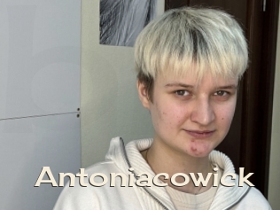 Antoniacowick