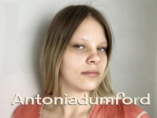 Antoniadumford