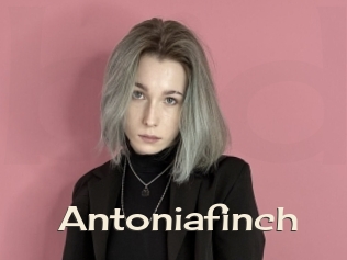 Antoniafinch