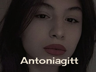 Antoniagitt