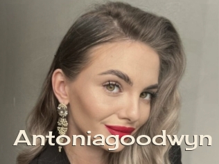 Antoniagoodwyn