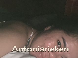 Antoniarieken