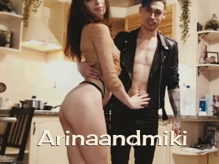 Arinaandmiki