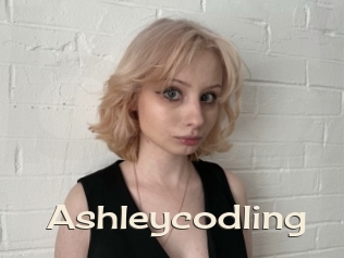 Ashleycodling