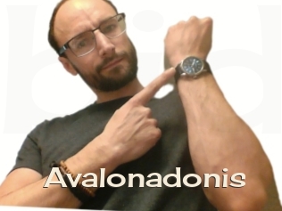 Avalonadonis