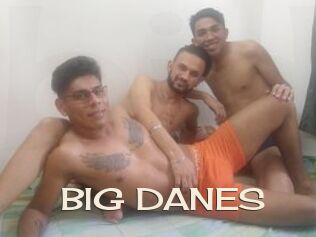 BIG_DANES