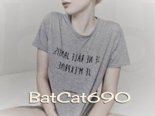 BatCat690