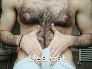 Bearcat