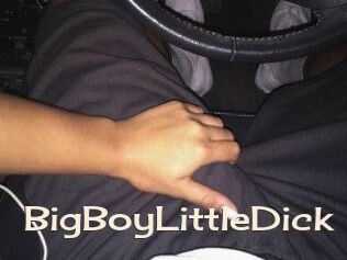 BigBoyLittleDick