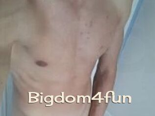 Bigdom4fun