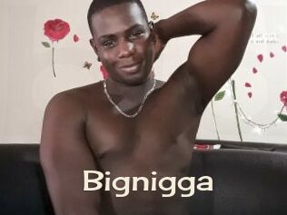 Bignigga