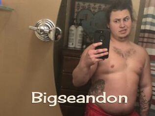Bigseandon