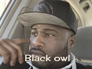 Black_owl